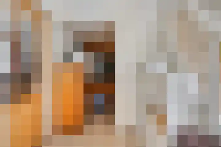 Hollanderbroeksestraat 30 Elst thumbnail 21