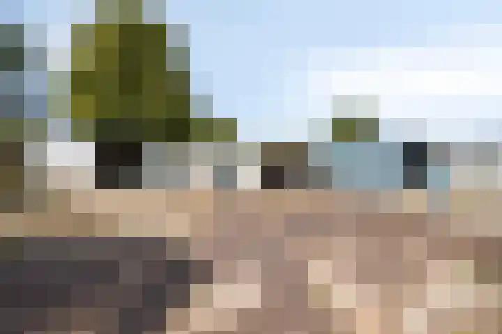 Hollanderbroeksestraat 30 Elst thumbnail 36