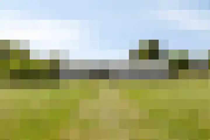 Hollanderbroeksestraat 30 Elst thumbnail 38
