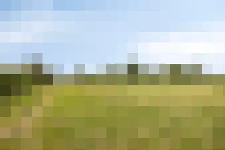 Hollanderbroeksestraat 30 Elst thumbnail 39