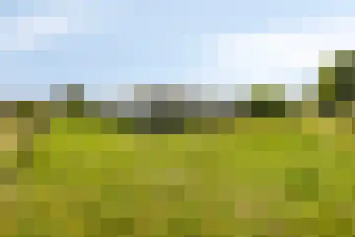 Hollanderbroeksestraat 30 Elst thumbnail 4