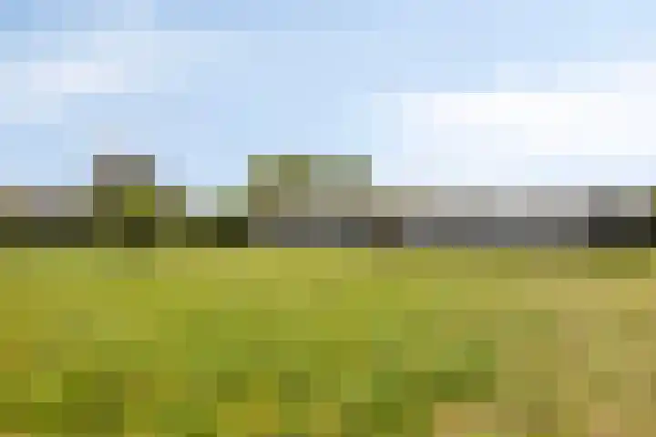 Hollanderbroeksestraat 30 Elst thumbnail 42