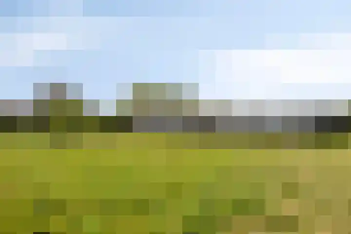 Hollanderbroeksestraat 30 Elst thumbnail 43