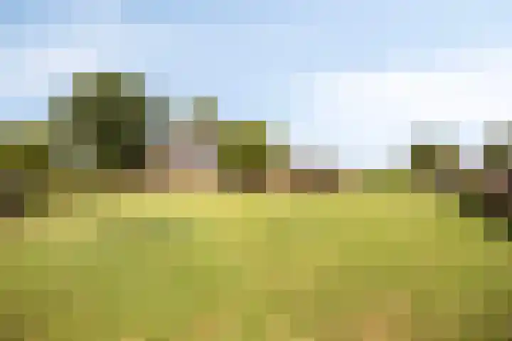 Hollanderbroeksestraat 30 Elst thumbnail 45