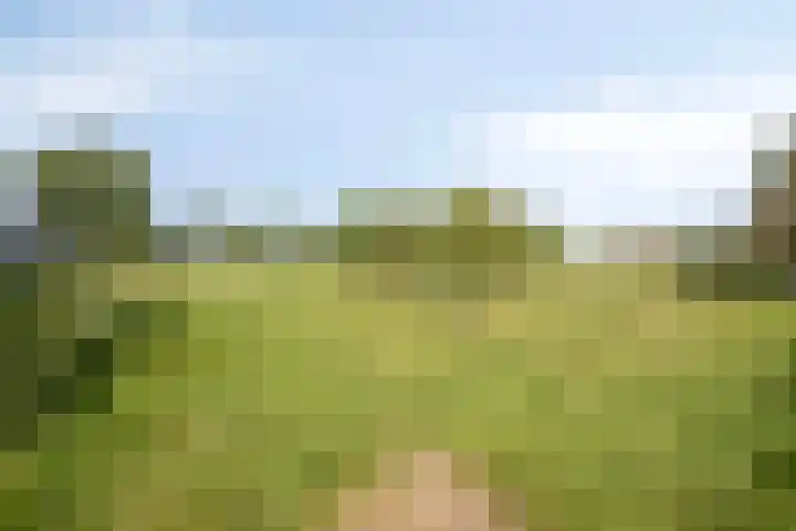 Hollanderbroeksestraat 30 Elst thumbnail 50