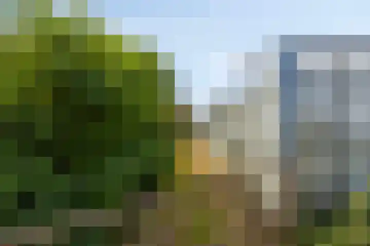 Hollanderbroeksestraat 30 Elst thumbnail 52