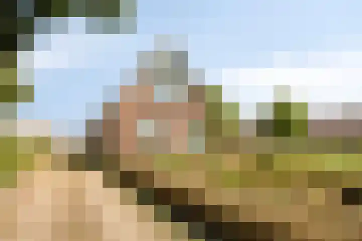 Hollanderbroeksestraat 30 Elst thumbnail 6