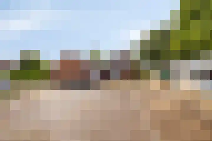 Hollanderbroeksestraat 30 Elst thumbnail 60
