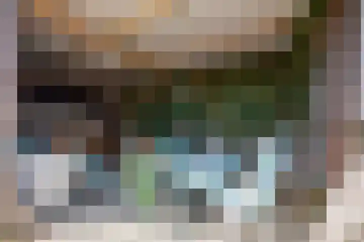 Hollanderbroeksestraat 30 Elst thumbnail 63