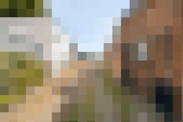 Hollanderbroeksestraat 30 Elst thumbnail 65