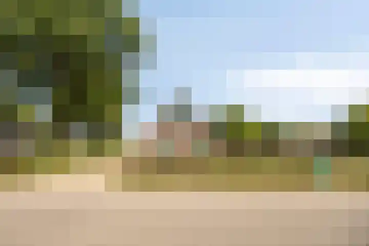Hollanderbroeksestraat 30 Elst thumbnail 67