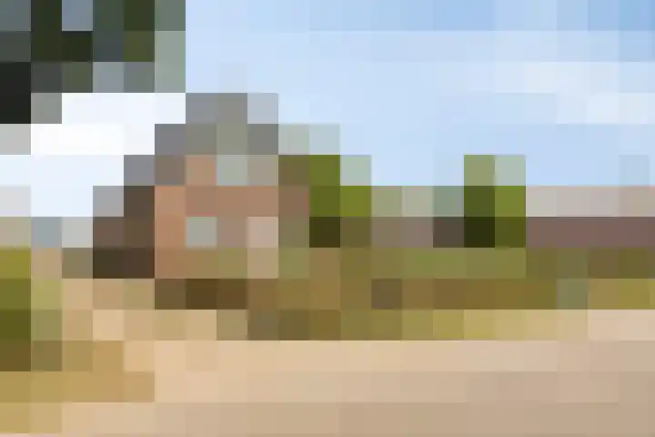 Hollanderbroeksestraat 30 Elst thumbnail 69