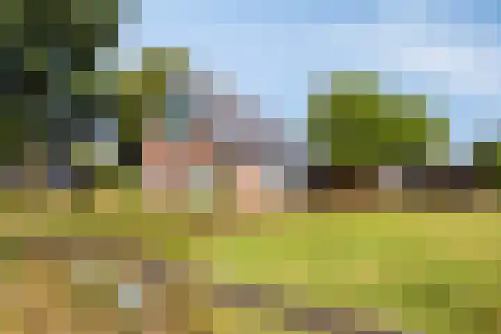 Hollanderbroeksestraat 30 Elst thumbnail 70