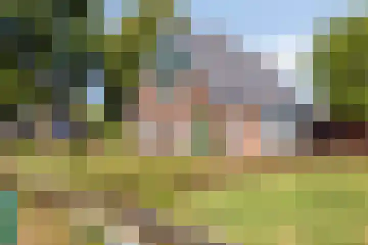 Hollanderbroeksestraat 30 Elst thumbnail 8