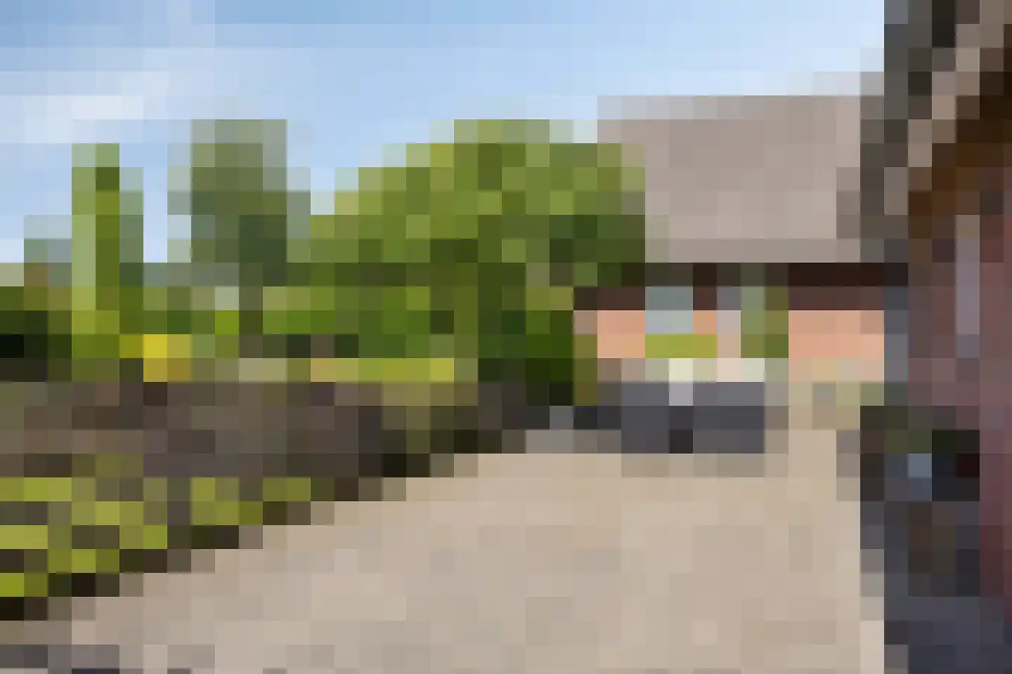 Hollanderdijk 2 Enter thumbnail 32