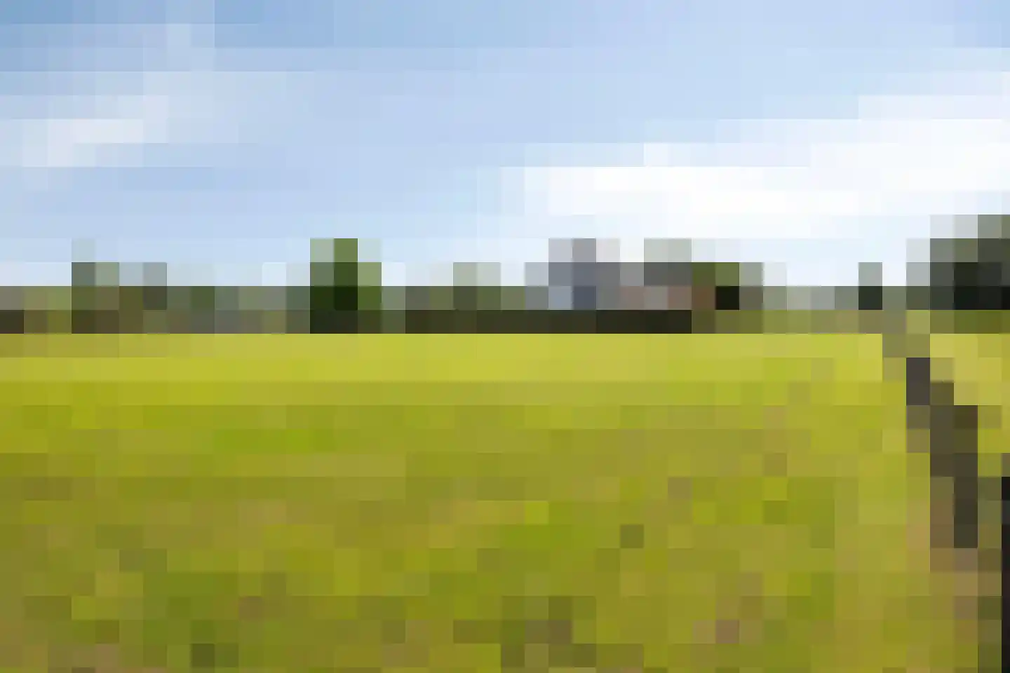 Hollanderdijk 2 Enter thumbnail 36