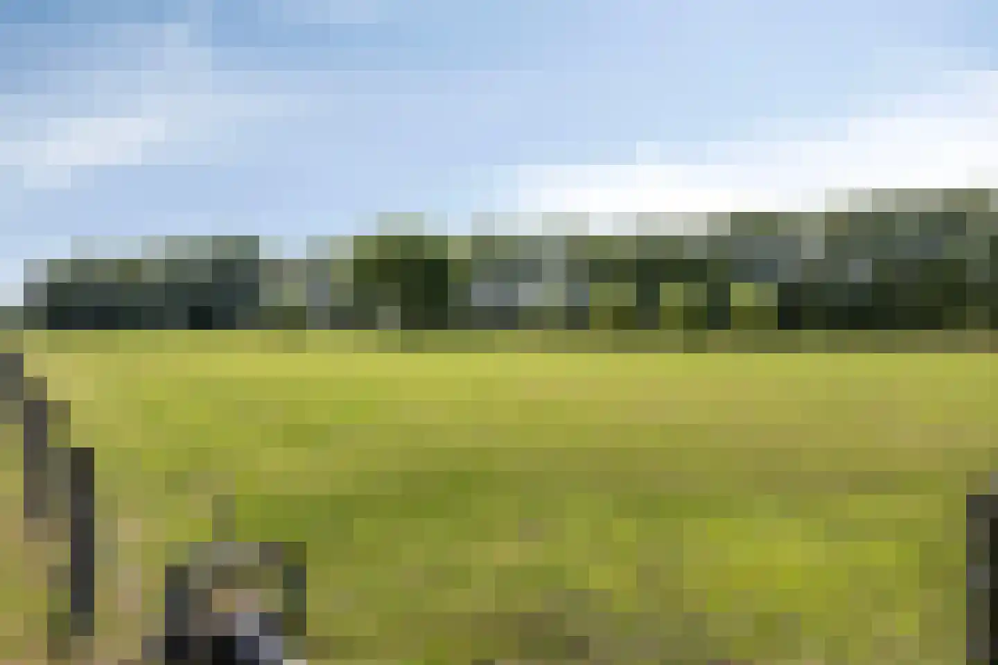 Hollanderdijk 2 Enter thumbnail 5