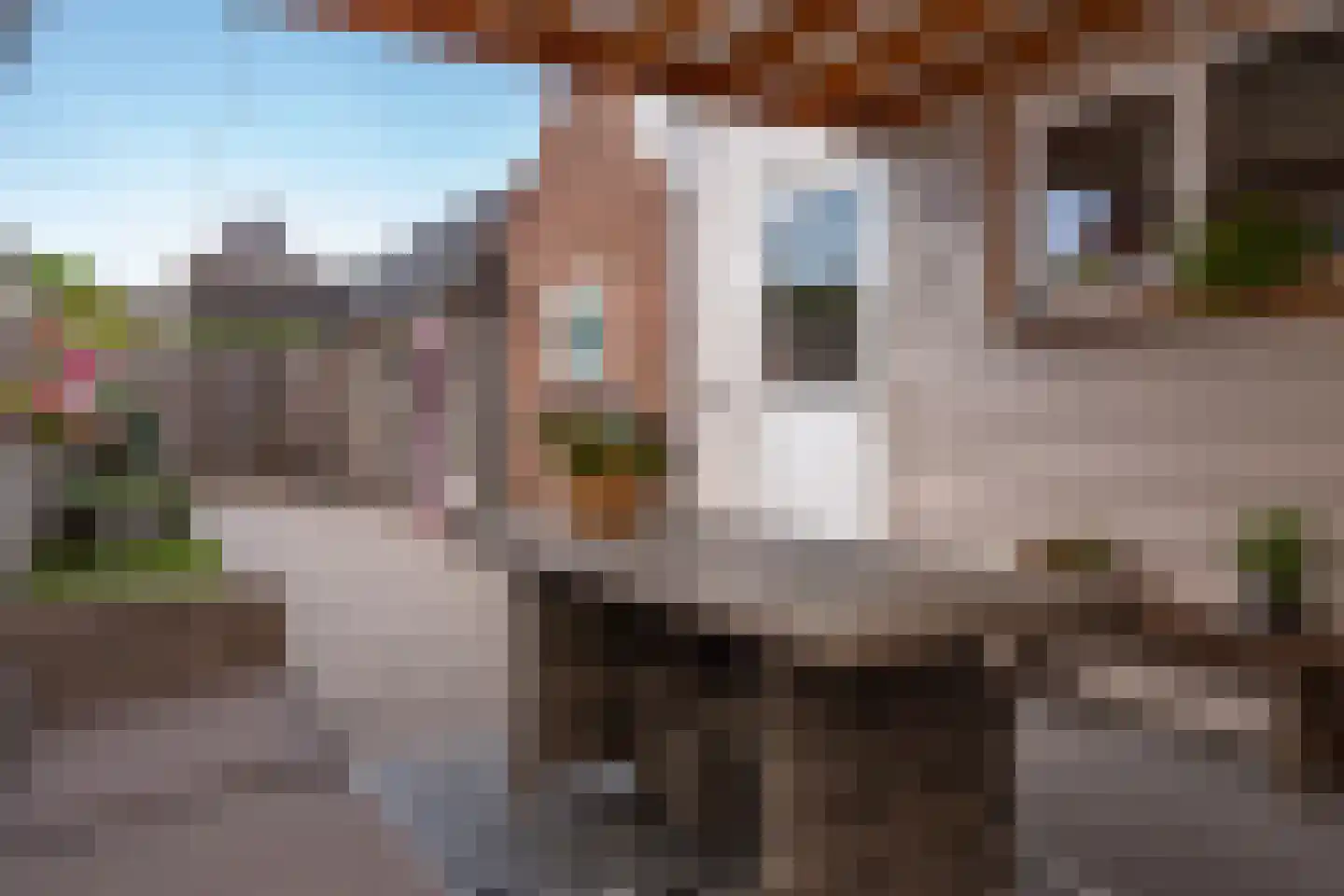 Hollanderstraat 26 Oldebroek thumbnail 35