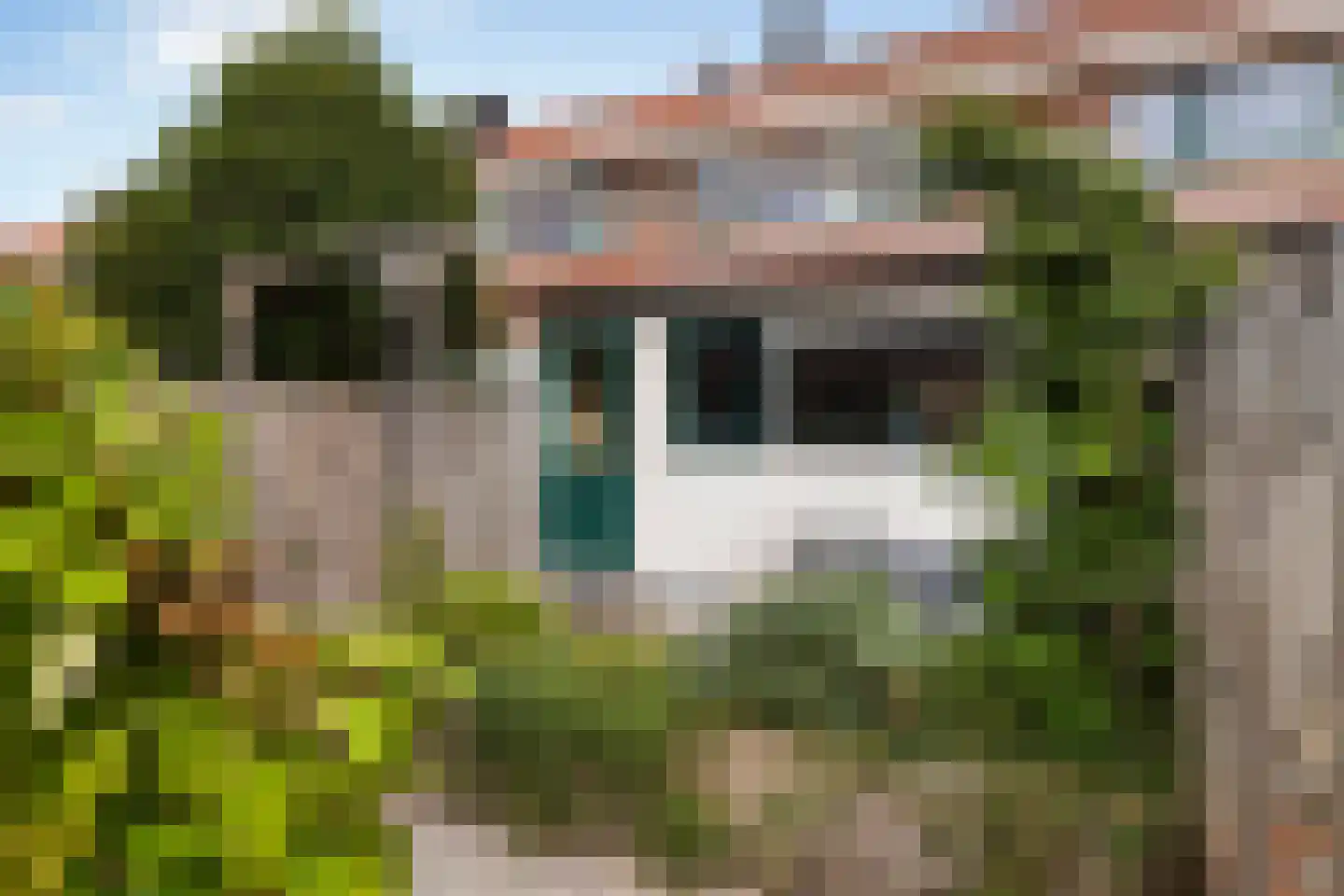 Hollanderstraat 33 Dordrecht thumbnail 19
