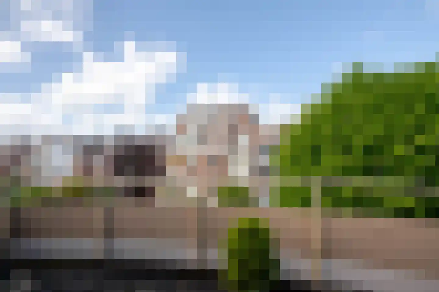 Hollanderstraat 49 Den Haag thumbnail 15
