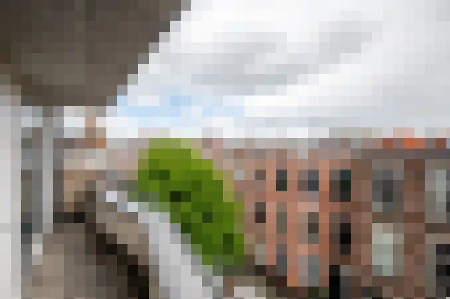 Hollanderstraat 49 Den Haag thumbnail 24