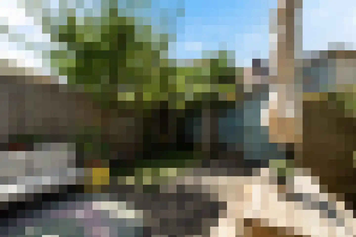 Hollanderstraat 63 Dordrecht thumbnail 4