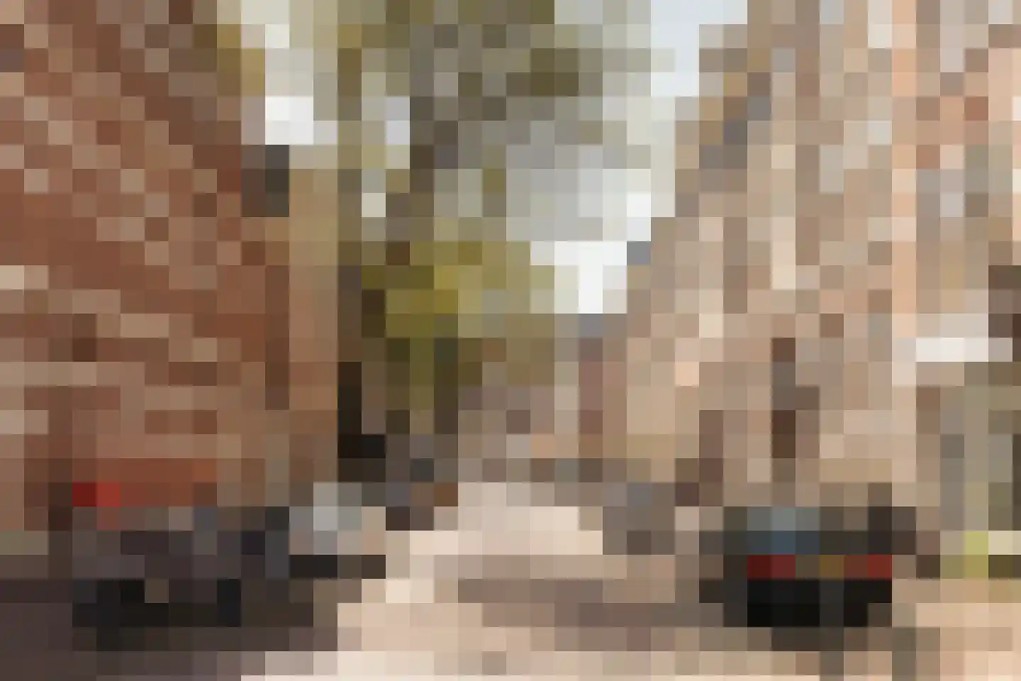 Hollanderstraat 72 Den Haag thumbnail 42