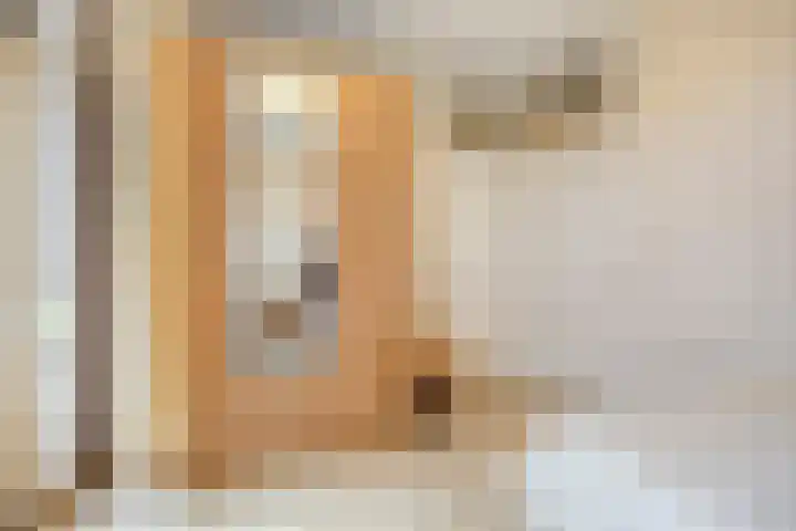 Hollandhof 13 Helmond thumbnail 11