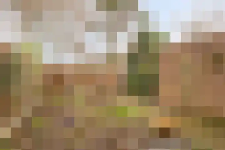 Hollandhof 13 Helmond thumbnail 17