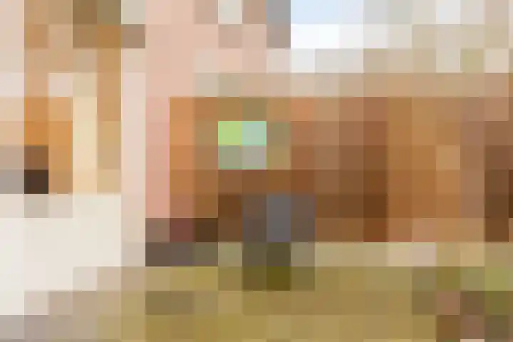 Hollandhof 13 Helmond thumbnail 20