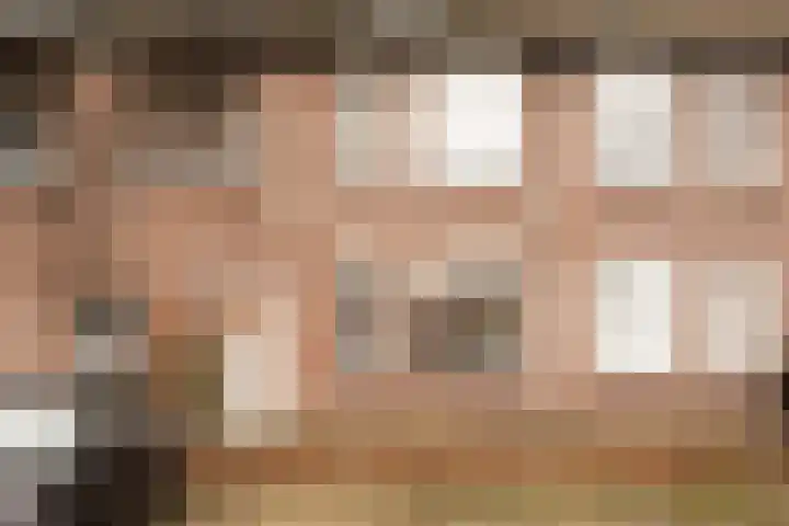 Hollandhof 13 Helmond thumbnail 22