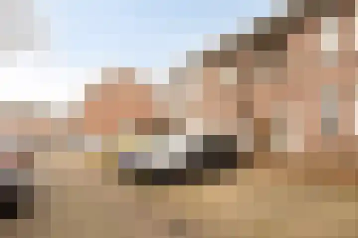 Hollandhof 13 Helmond thumbnail 23