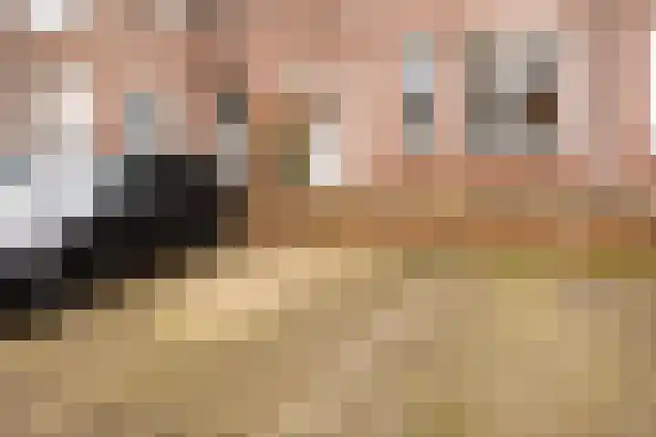 Hollandhof 13 Helmond thumbnail 24