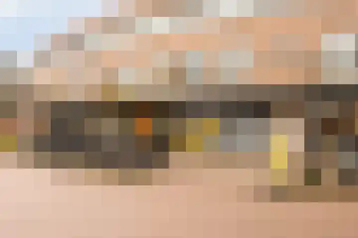 Hollandhof 13 Helmond thumbnail 27