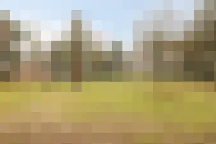 Hollandhof 13 Helmond thumbnail 28