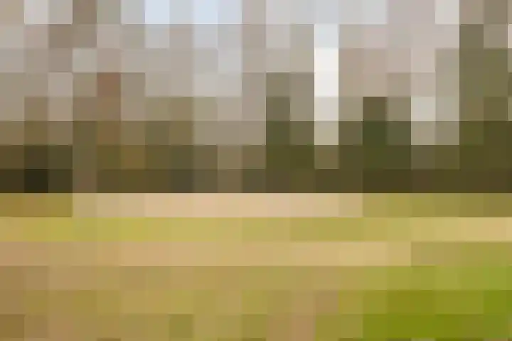 Hollandhof 13 Helmond thumbnail 29