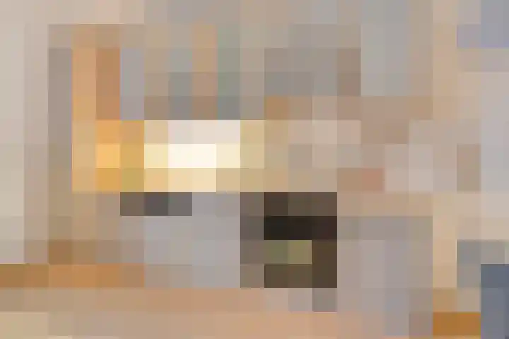 Hollandhof 13 Helmond thumbnail 6