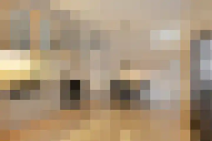 Hollandhof 13 Helmond thumbnail 8