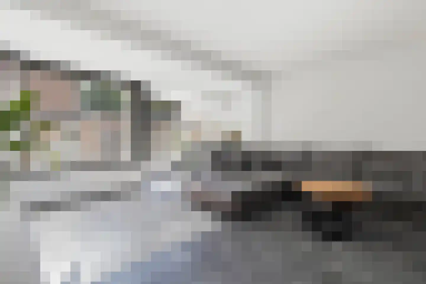 Hollandhof 138 Helmond thumbnail 16