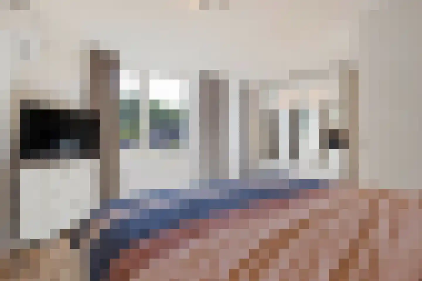 Hollandhof 138 Helmond thumbnail 22