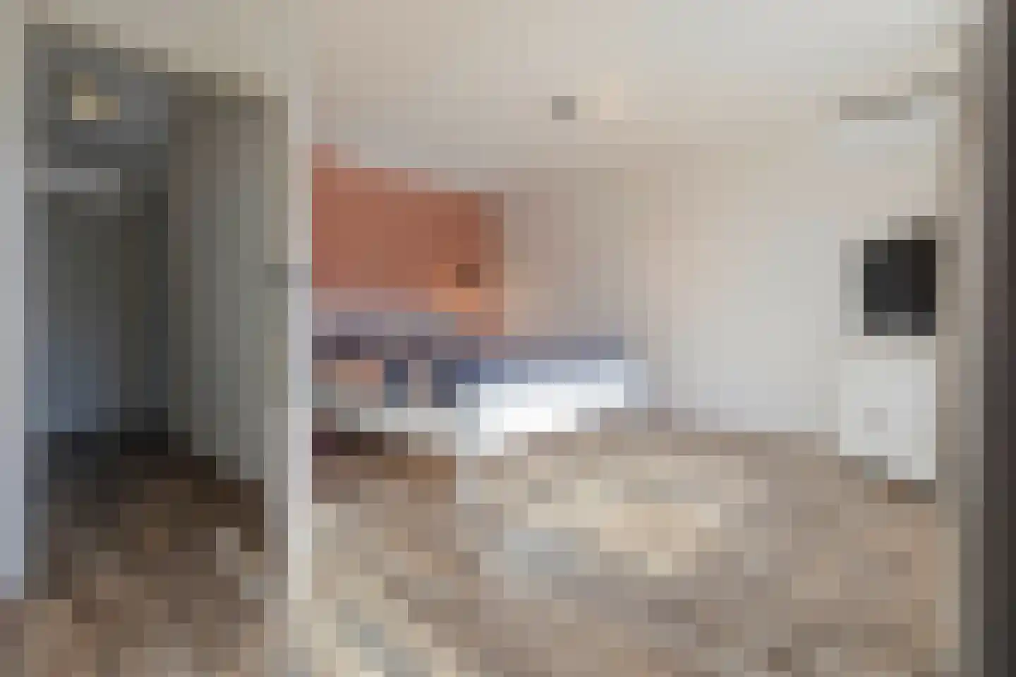 Hollandhof 138 Helmond thumbnail 23