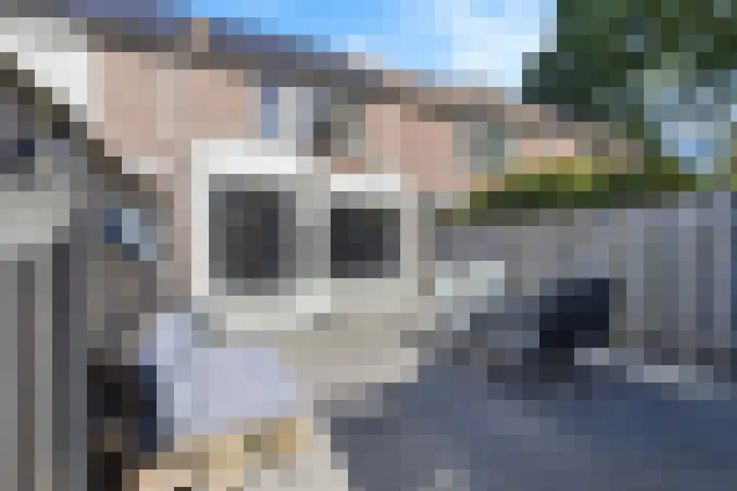 Hollandhof 138 Helmond thumbnail 36