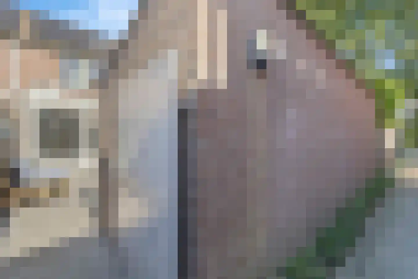 Hollandhof 138 Helmond thumbnail 40