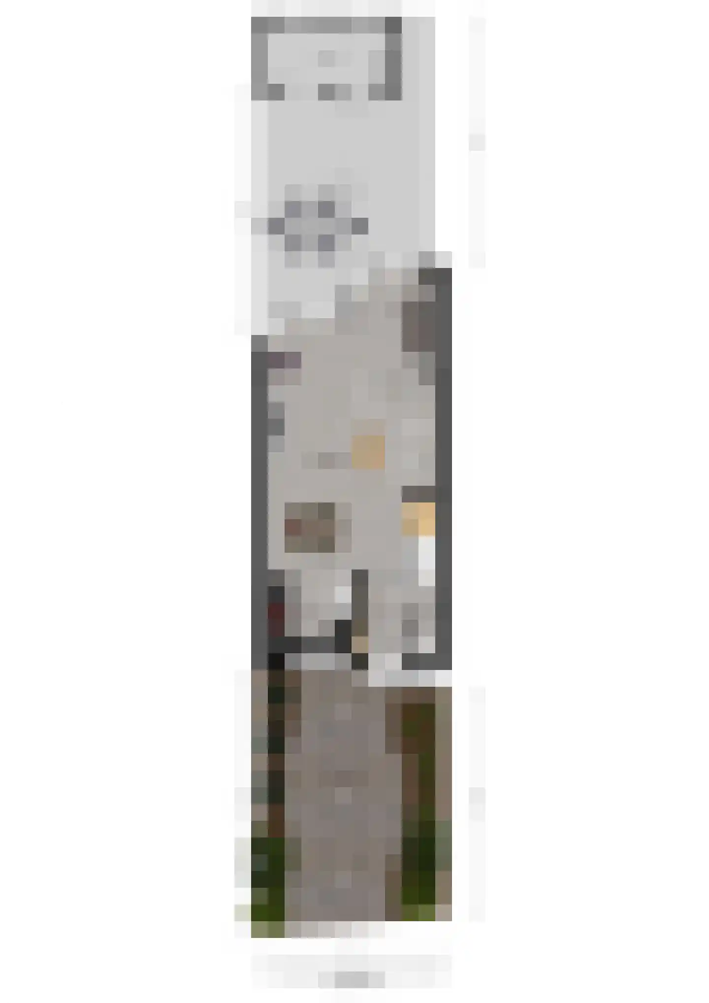 Hollandhof 138 Helmond thumbnail 52