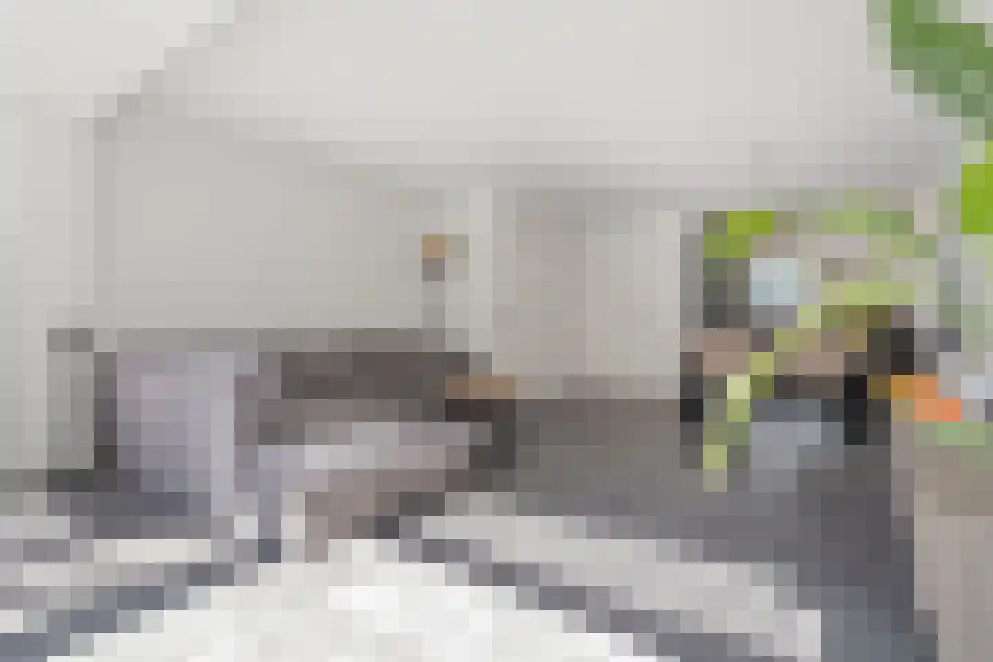 Hollandhof 138 Helmond thumbnail 7