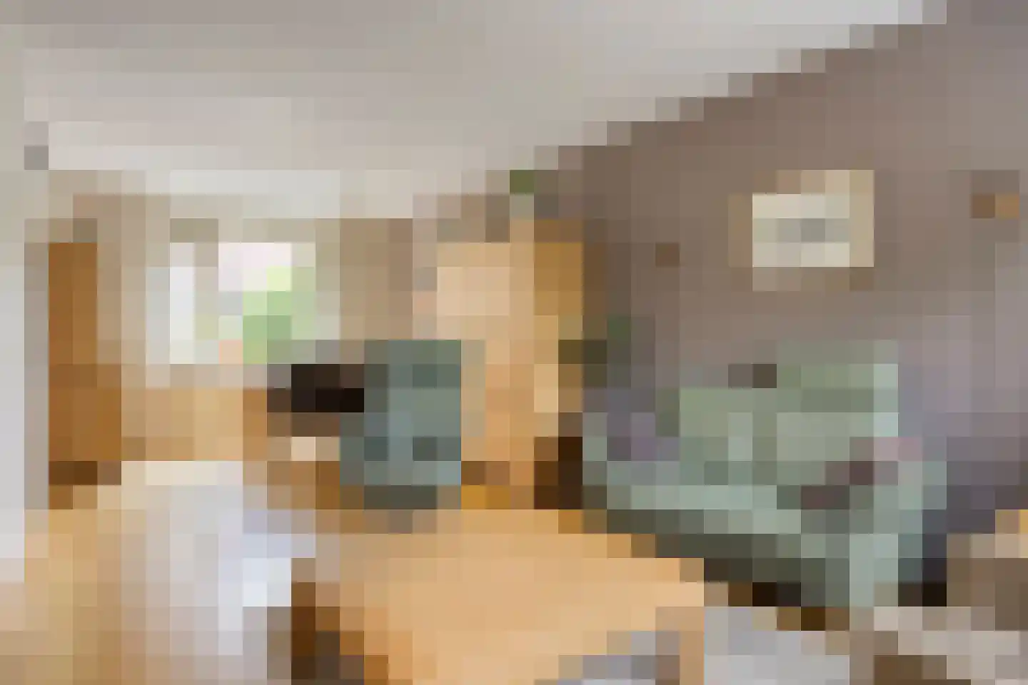 Hollandhof 140 Helmond thumbnail 14