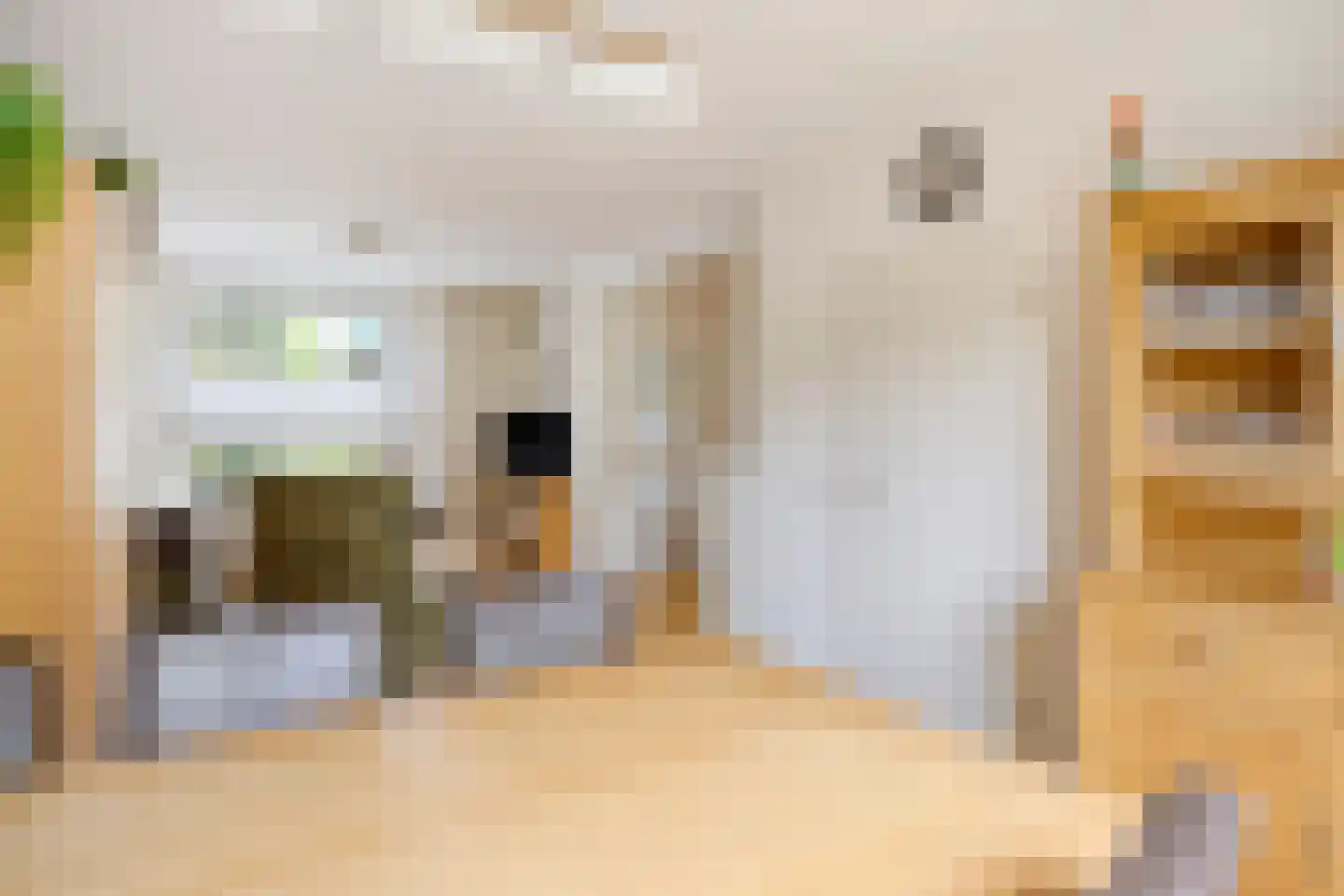 Hollandhof 140 Helmond thumbnail 18