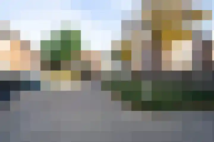 Hollandhof 50 Helmond thumbnail 34