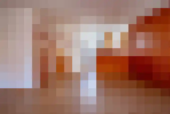 Hollandhof 50 Helmond thumbnail 6