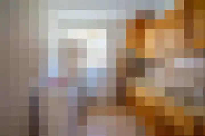 Hollandhof 50 Helmond thumbnail 8